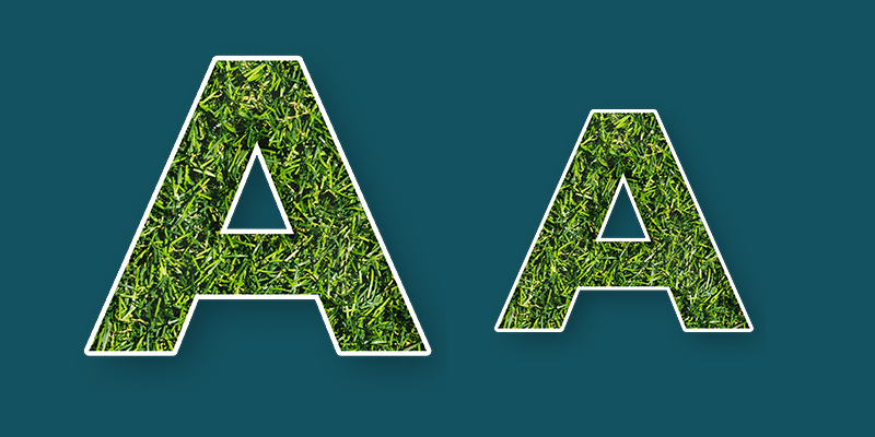 Letras com Plantas